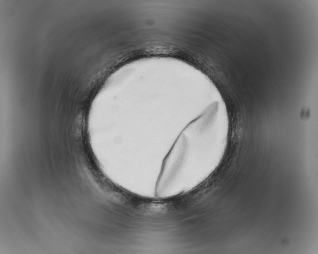 X0000112720647200910011133