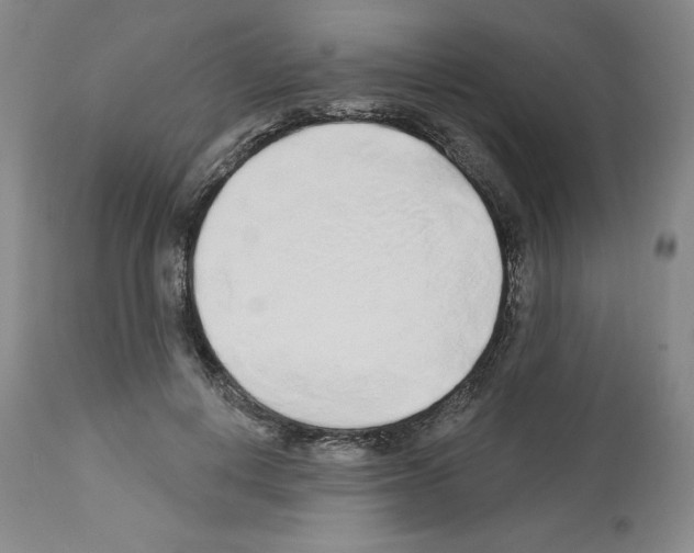 X0000112720648200910011133