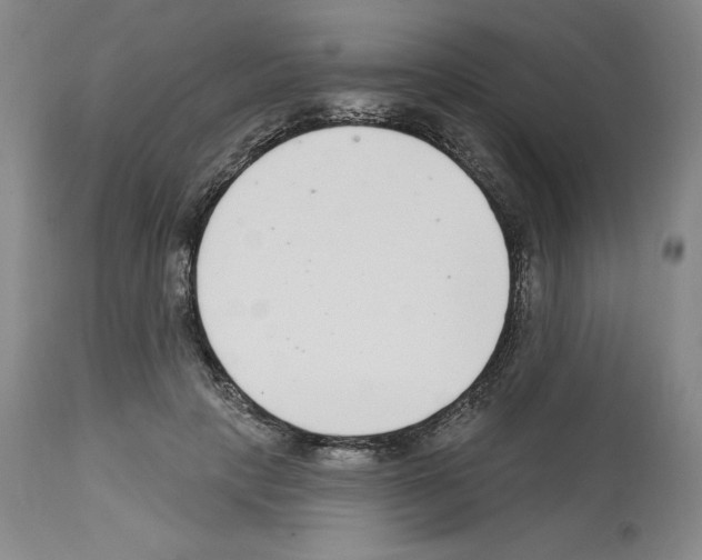 X0000112720649200910011133