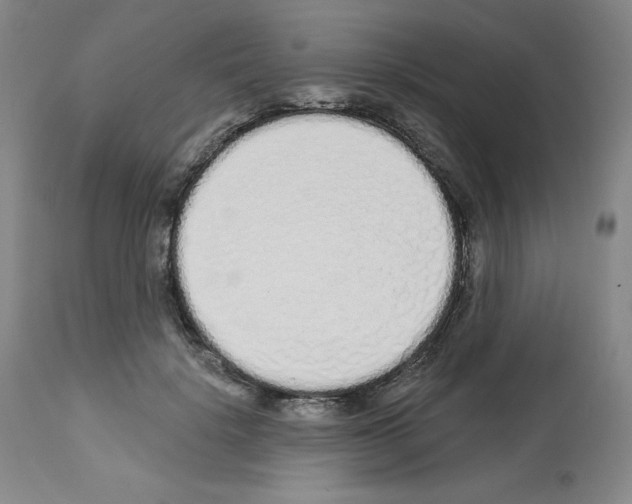 X0000112720652200910011133