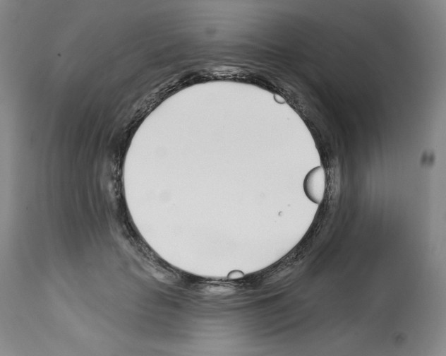 X0000112720653200910011133