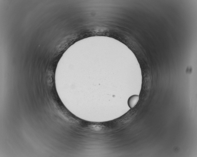 X0000112720654200910011133