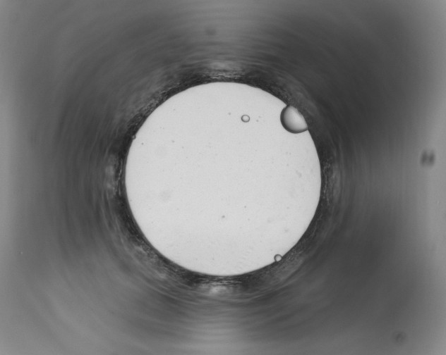 X0000112720655200910011133