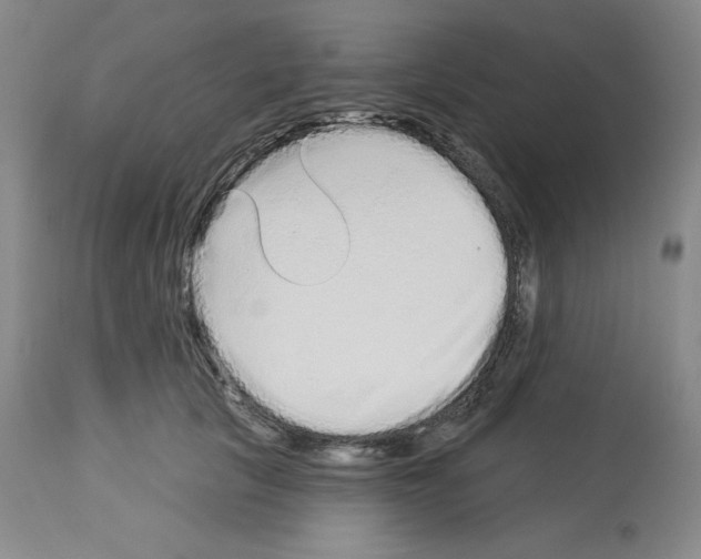 X0000112720657200910011133