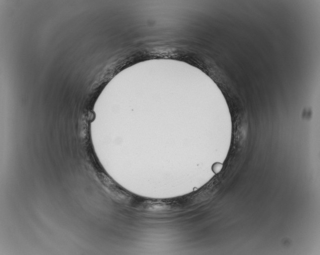 X0000112720658200910011133