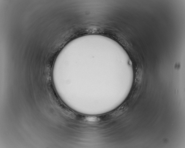 X0000112720659200910011133