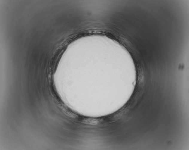 X0000112720661200910011133