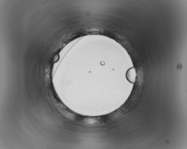 X0000112720662200910011133