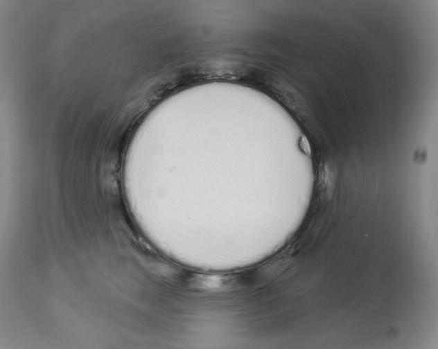 X0000112720663200910011133