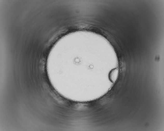 X0000112720664200910011133