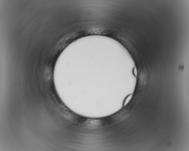 X0000112720665200910011133