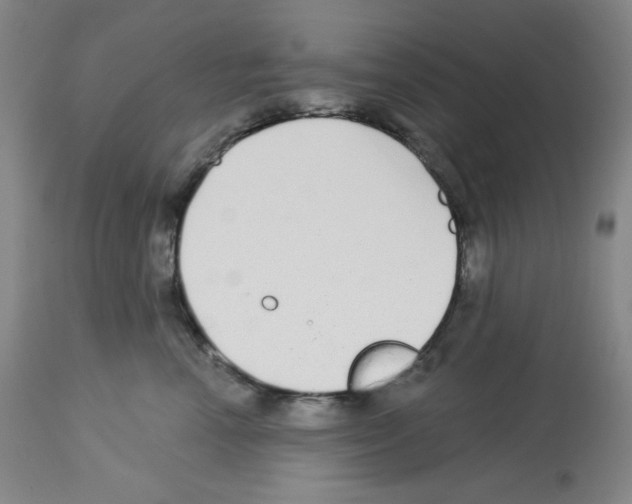 X0000112720666200910011133