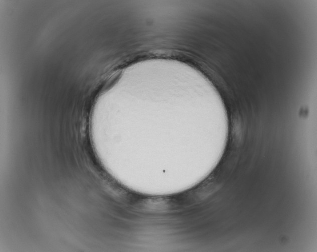 X0000112720668200910011133