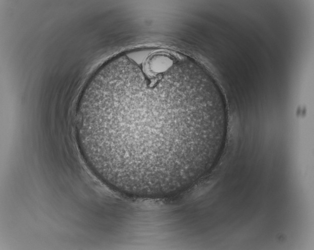 X0000112720673200910011132