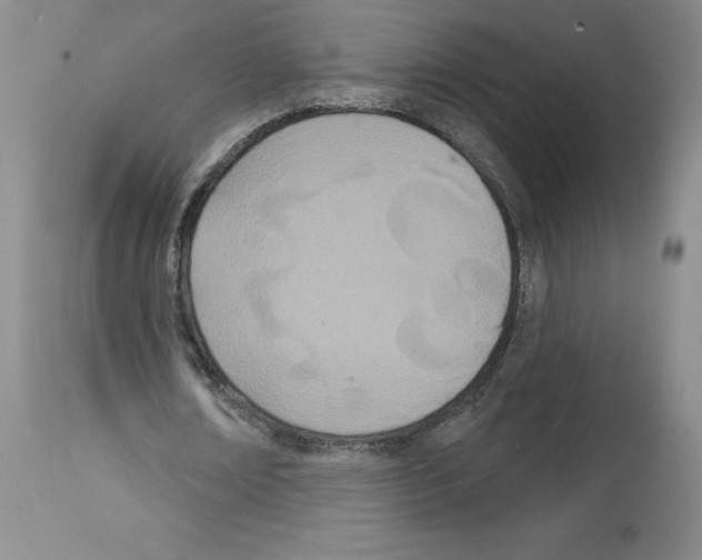 X0000112720674200910011132