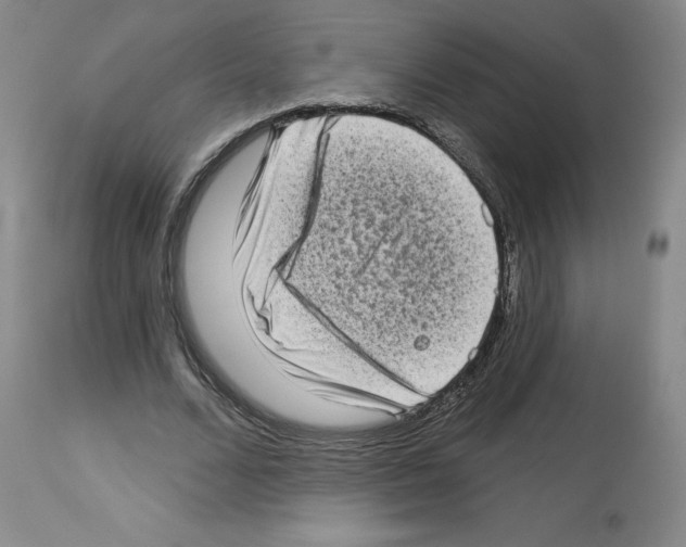 X0000112720680200910011132