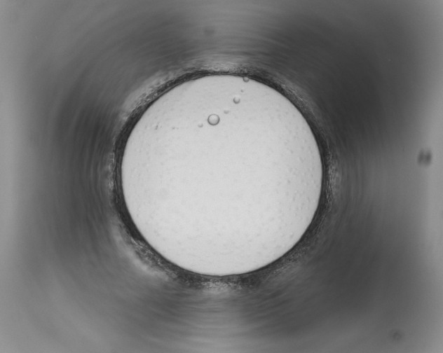 X0000112720682200910011132