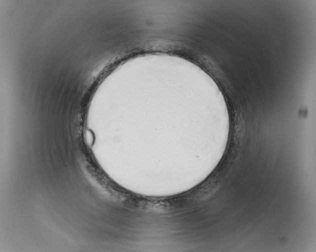 X0000112720683200910011132