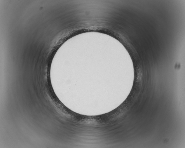 X0000112720685200910011132