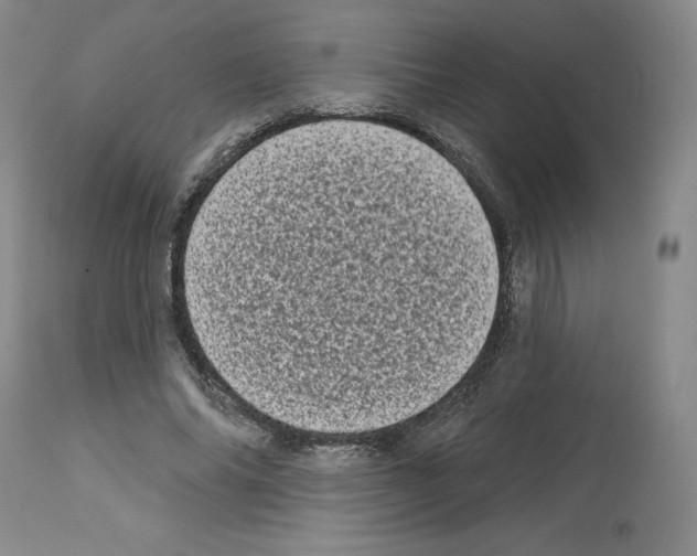 X0000112720686200910011132