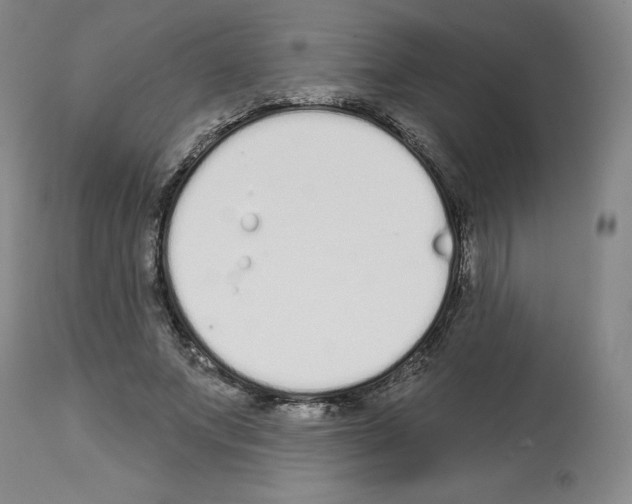 X0000112720687200910011132