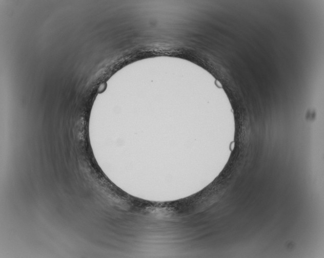 X0000112720689200910011132