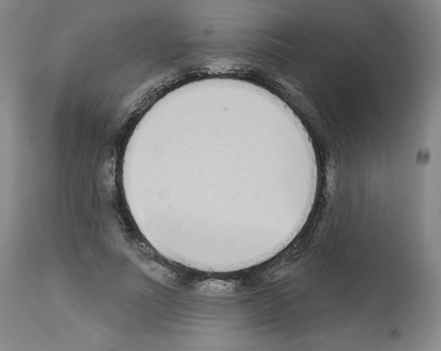 X0000112720691200910011132