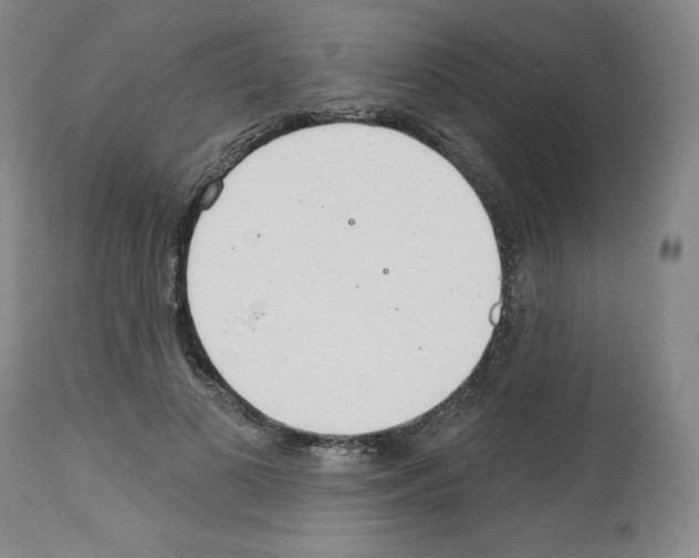 X0000112720693200910011132