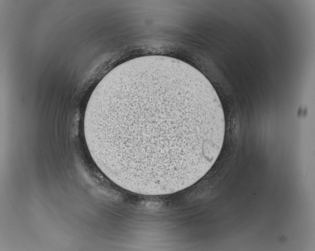 X0000112720694200910011132