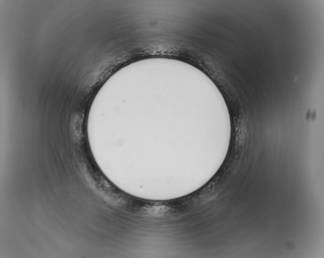 X0000112720695200910011132