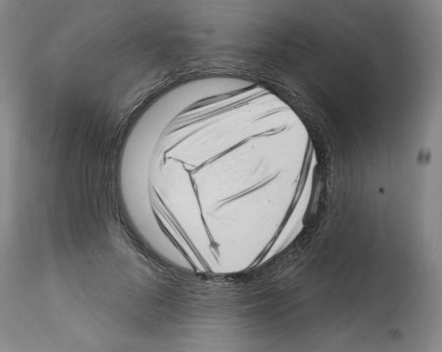 X0000112720696200910011132