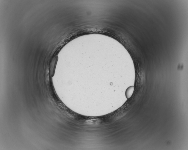 X0000112720700200910011132