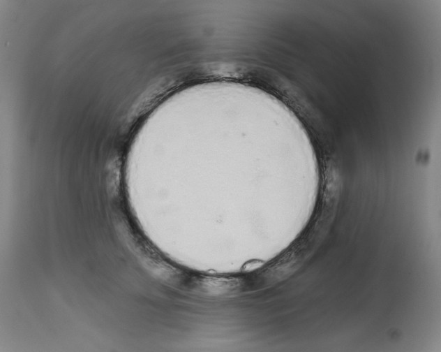 X0000112720707200910011132