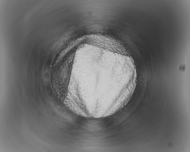 X0000112720708200910011132