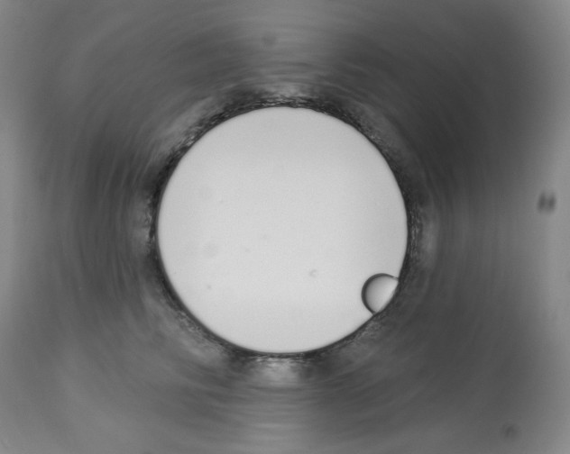 X0000112720710200910011132