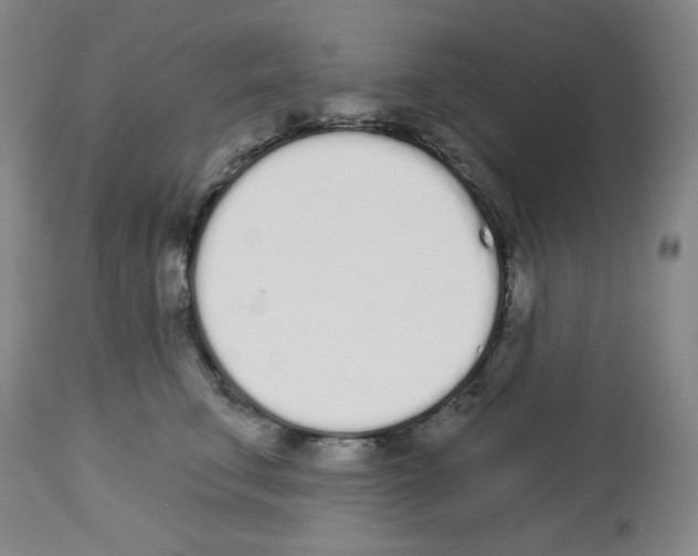 X0000112720711200910011132