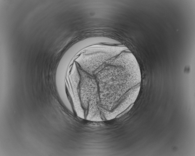 X0000112720712200910011132