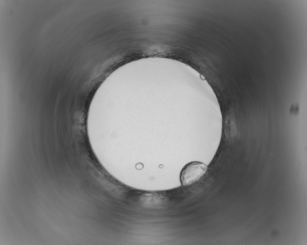 X0000112720714200910011132