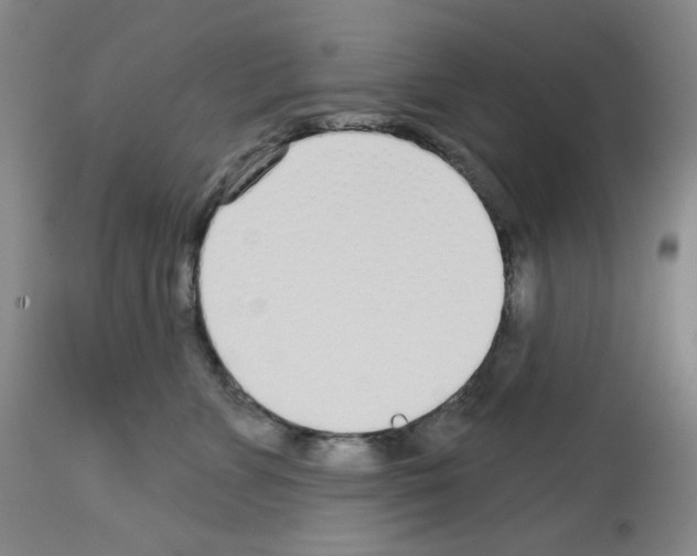 X0000112720715200910011132