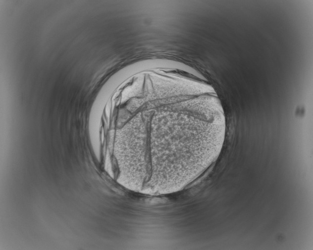 X0000112720716200910011132