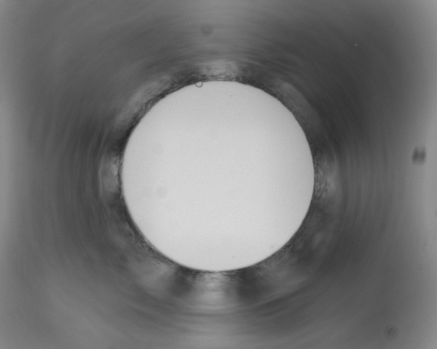 X0000112720717200910011132