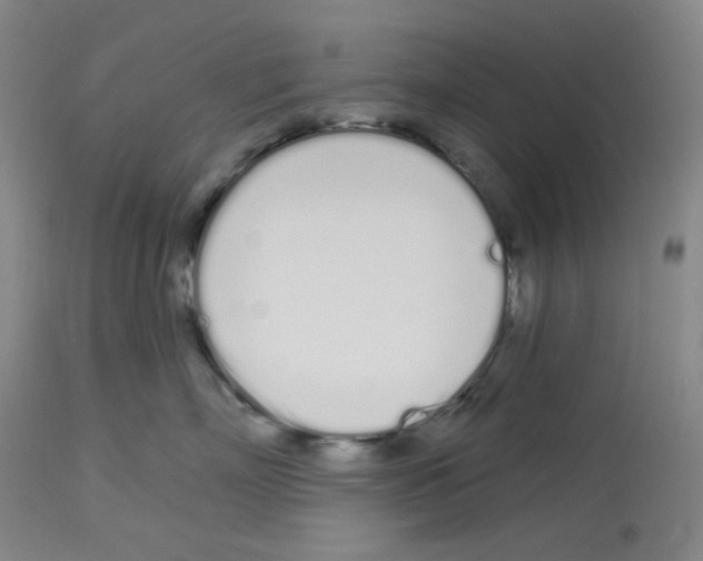 X0000112720718200910011132