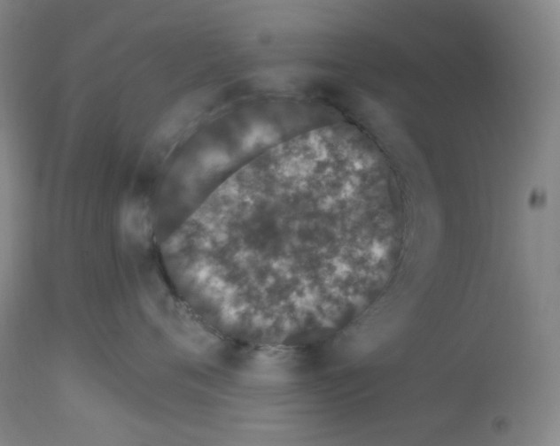 X0000112720720200910011132