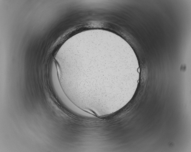 X0000112720722200910011131