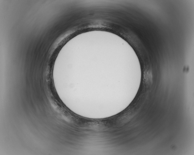 X0000112720724200910011131