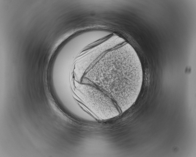 X0000112720726200910011131