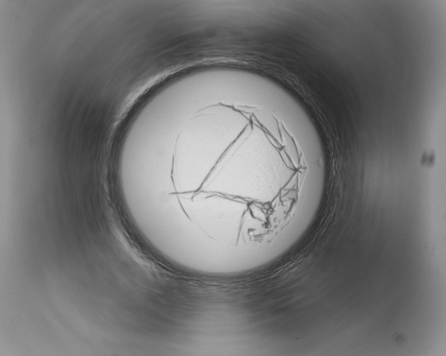 X0000112720728200910011131