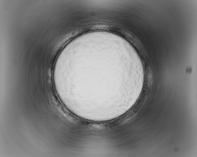 X0000112720729200910011131