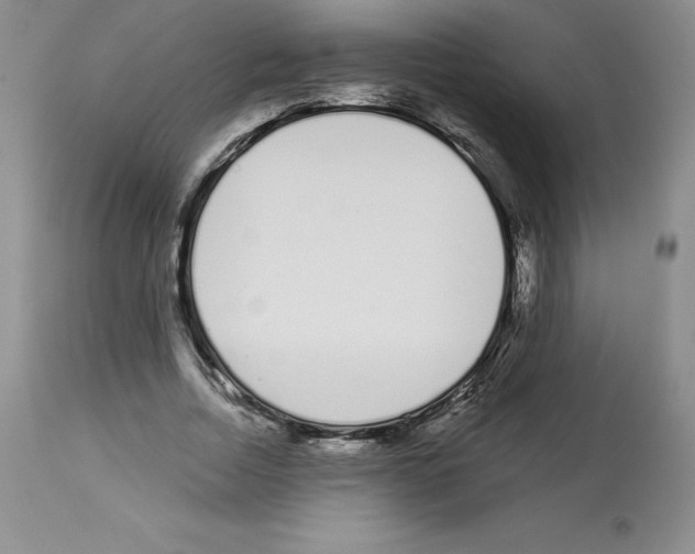 X0000112720730200910011131