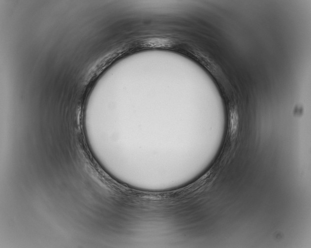 X0000112720733200910011131